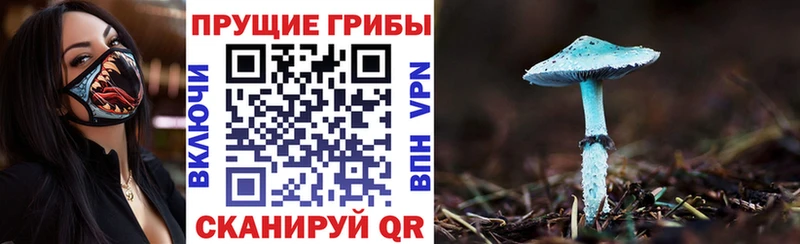 Галлюциногенные грибы прущие грибы  Лангепас 
