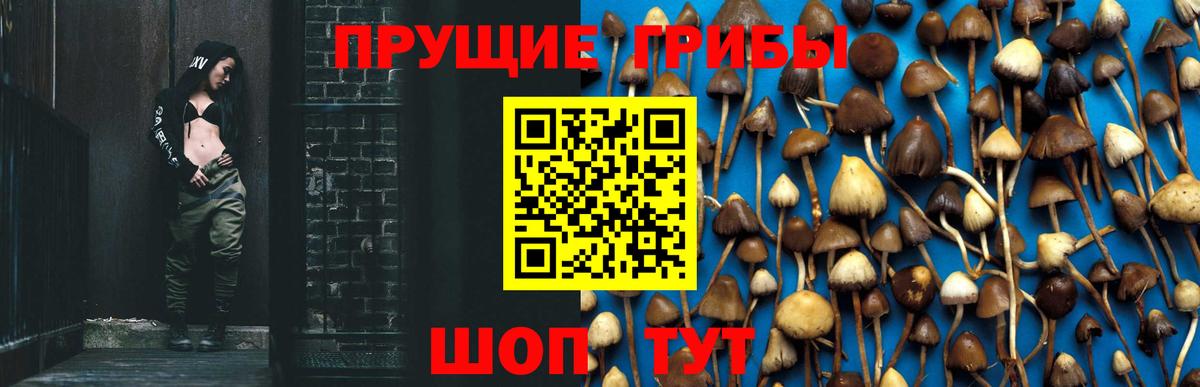 Псилоцибиновые грибы мицелий Лангепас