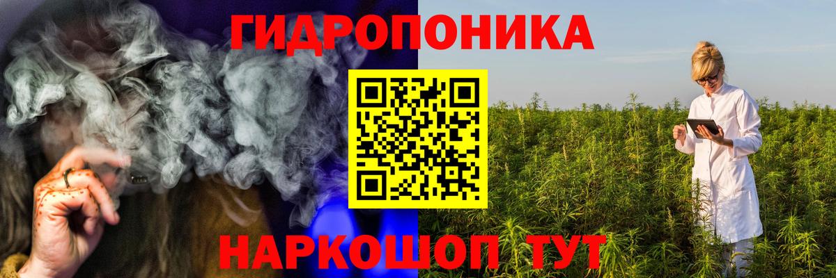 Бошки Шишки планчик Лангепас